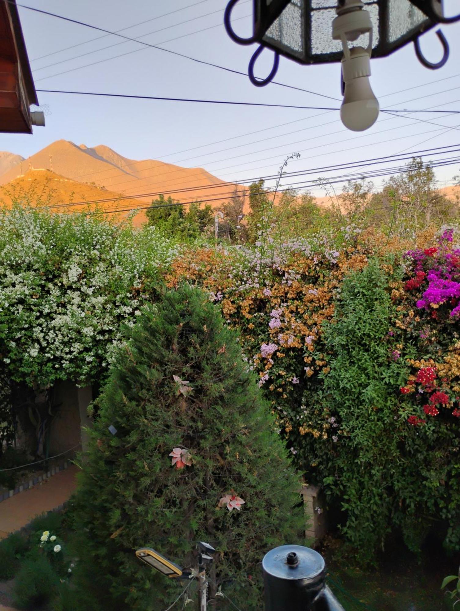 Hostal Donde Rita Vicuña Eksteriør billede